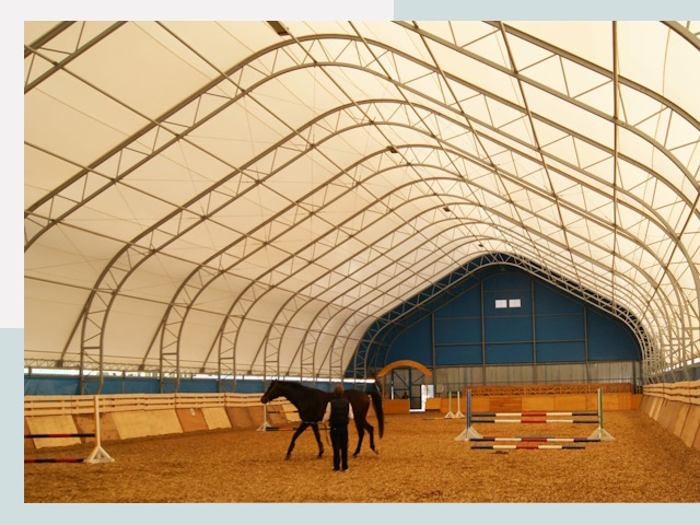 Строительство конных манежей в Лесозаводске